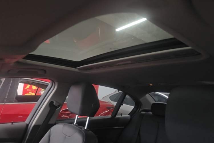 Used BMW 3 Series 2018 320Li Leading Model M Sport Package Headliner