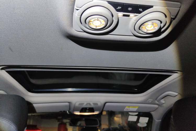 Used BMW 3 Series 2018 320Li Leading Model M Sport Package Headliner