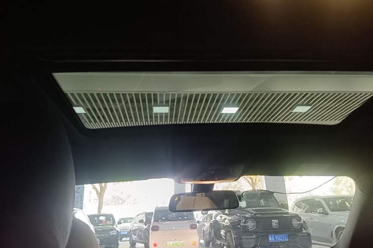 Used BMW 3 Series 2018 320i M Sport Package Headliner