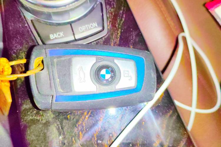 Used BMW 3 Series 2018 320Li M Sport Night Edition Vehicle Key