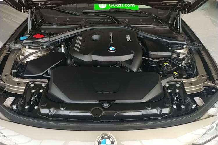 Used BMW 3 Series 2018 320Li Fashion Model Engine Bay