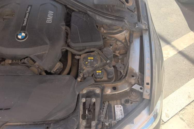 Used BMW 3 Series 2018 320Li Fashion Model Engine Bay Left