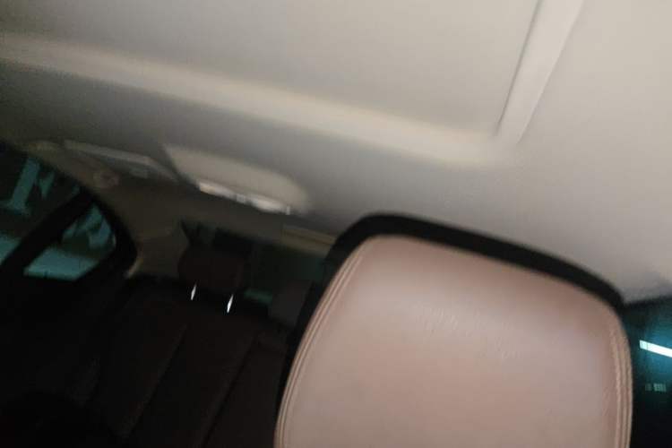 Used BMW 3 Series 2018 320Li Fashion Model Headliner