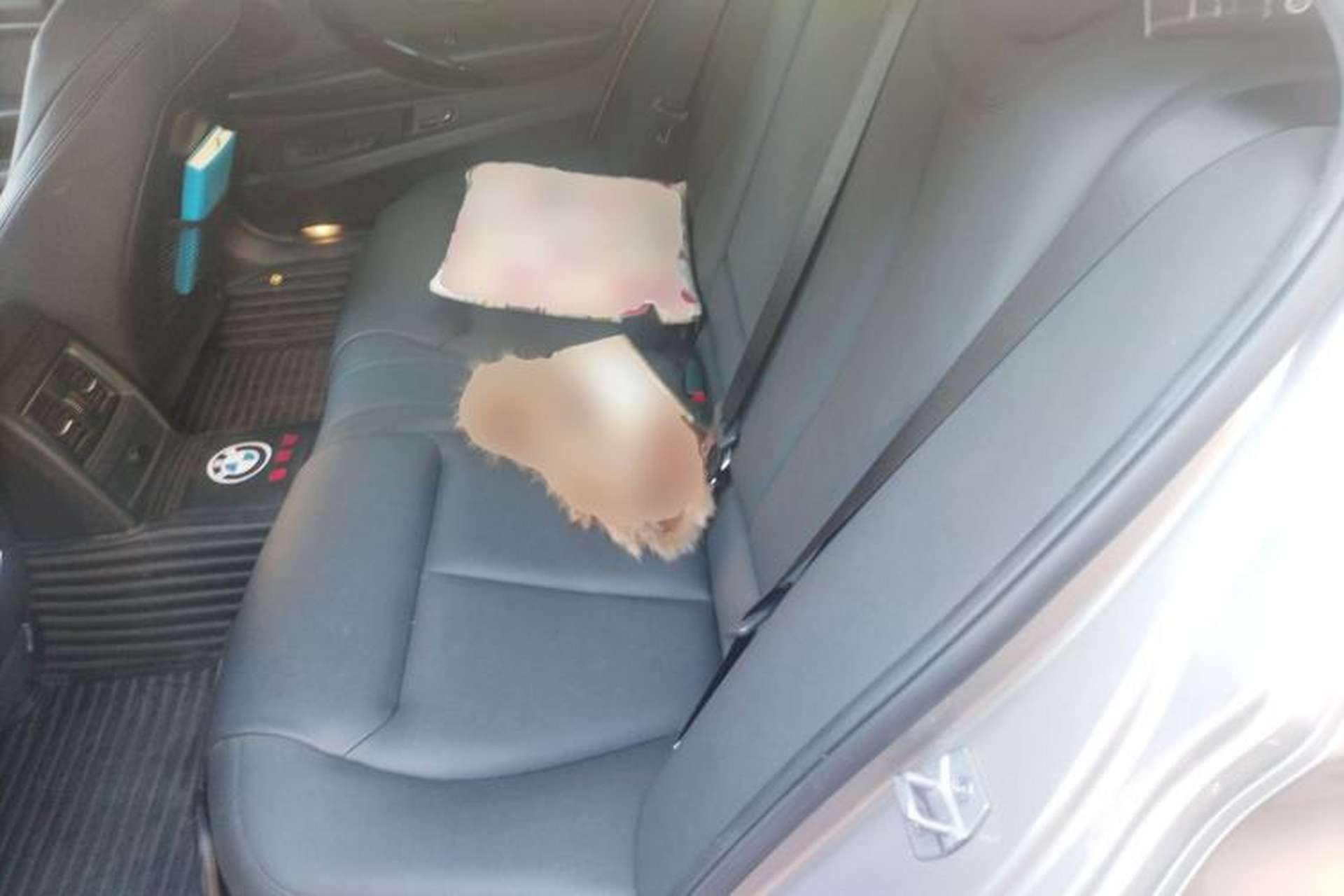 Used BMW 3 Series 2018 320Li Fashion Model Left Rear Seat