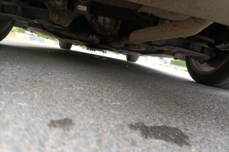 Used BMW 3 Series 2018 320Li Fashion Model Chassis Rear