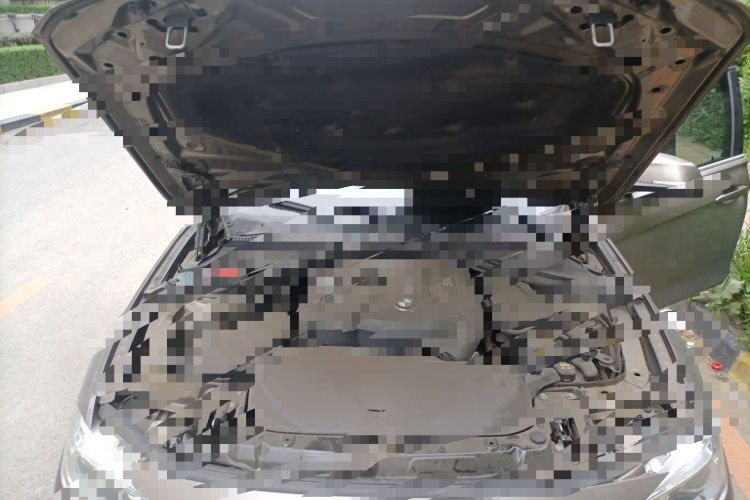 Used BMW 3 Series 2018 320Li Fashion Model Engine Bay