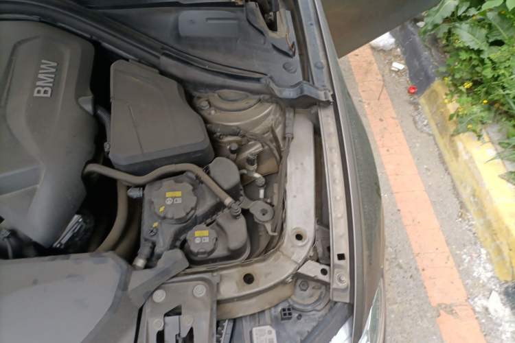 Used BMW 3 Series 2018 320Li Fashion Model Engine Bay Left