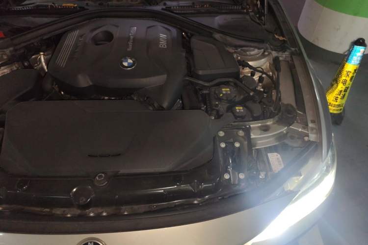Used BMW 3 Series 2018 320Li Fashion Model Engine Bay Left