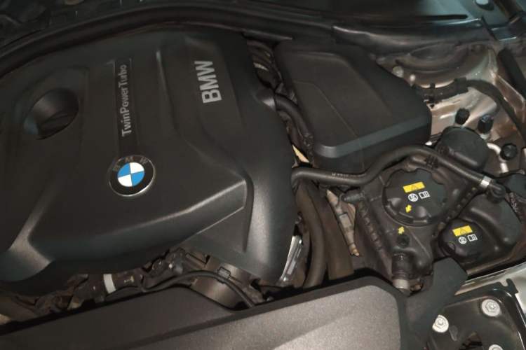 Used BMW 3 Series 2018 320Li Leading Luxury Package Engine Bay Left