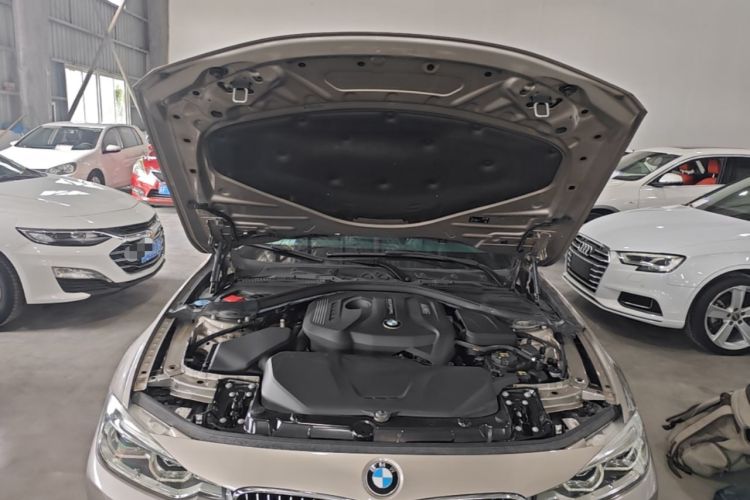 Used BMW 3 Series 2018 320Li Fashion Model Engine Bay