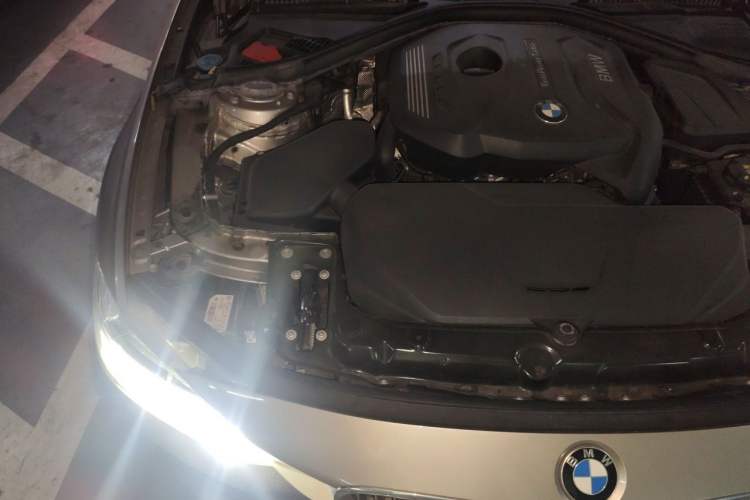 Used BMW 3 Series 2018 320Li Fashion Model Engine Bay Right