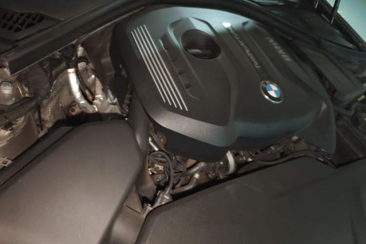 Used BMW 3 Series 2018 320Li Leading Luxury Package Engine Bay Right
