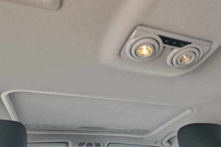 Used BMW 3 Series 2018 318Li Headliner