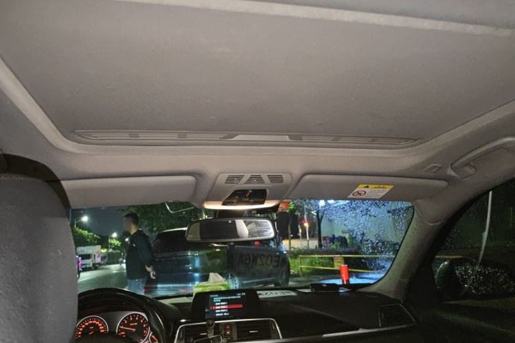 Used BMW 3 Series 2018 318Li Headliner