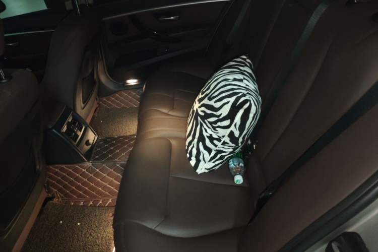 Used BMW 3 Series 2018 320Li Leading Luxury Package Left Rear Seat