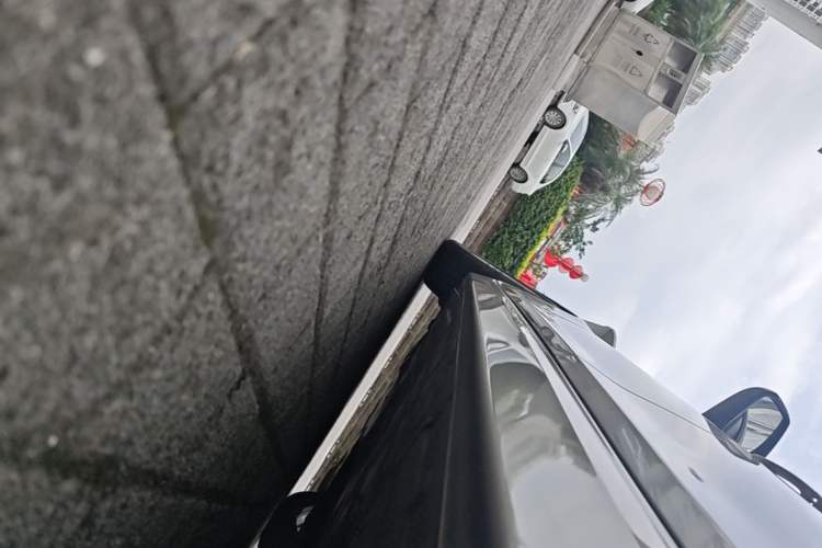 Used BMW 3 Series 2018 318Li Left Side Sill