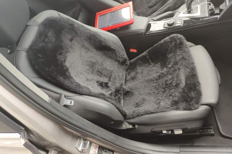 Used BMW 3 Series 2018 320Li Fashion Model Right Front Seat