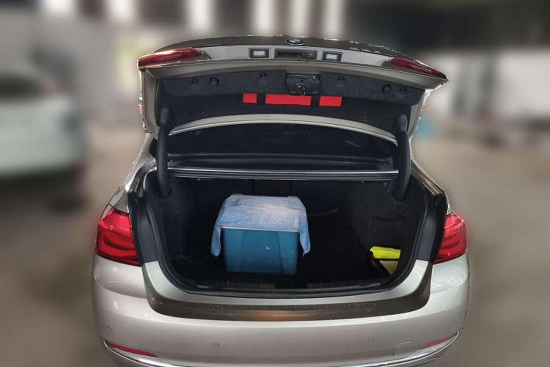 Used BMW 3 Series 2018 320Li Leading Luxury Package Trunk