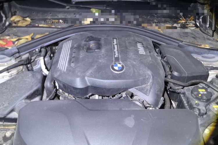 Used BMW 3 Series 2018 320Li Fashion Model Engine Bay