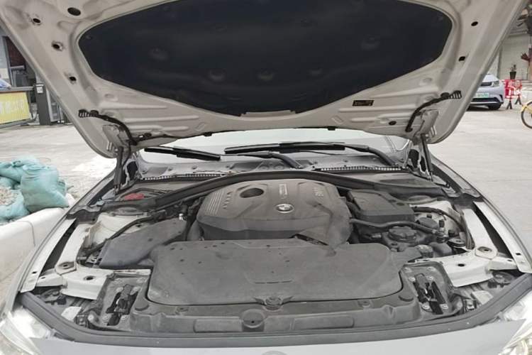 Used BMW 3 Series 2018 320Li Fashion Model Engine Bay