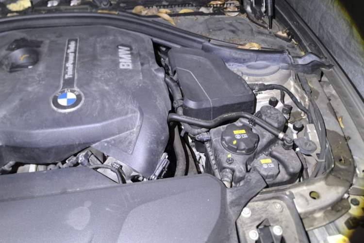Used BMW 3 Series 2018 320Li Fashion Model Engine Bay Left
