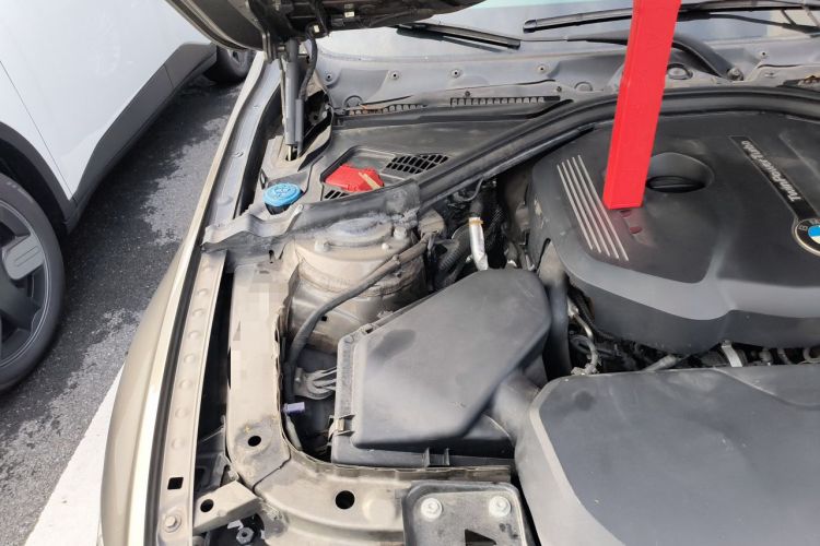 Used BMW 3 Series 2018 320Li Fashion Model Engine Bay Right