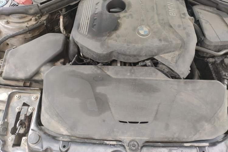 Used BMW 3 Series 2018 320Li M Sport Night Edition Engine Bay