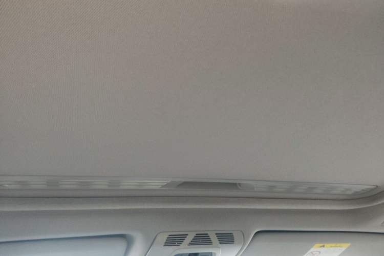 Used BMW 3 Series 2018 320Li xDrive Fashion Model Headliner
