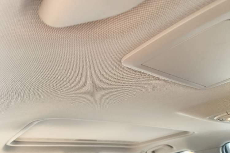 Used BMW 3 Series 2018 318Li Headliner