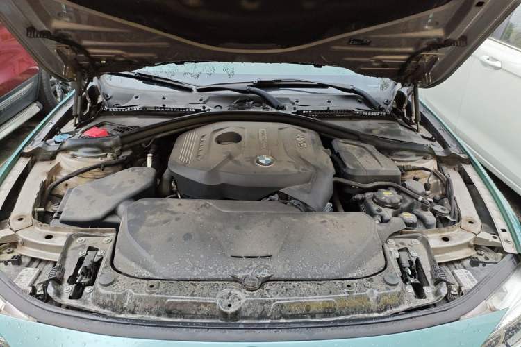 Used BMW 3 Series 2018 320Li Fashion Model Engine Bay