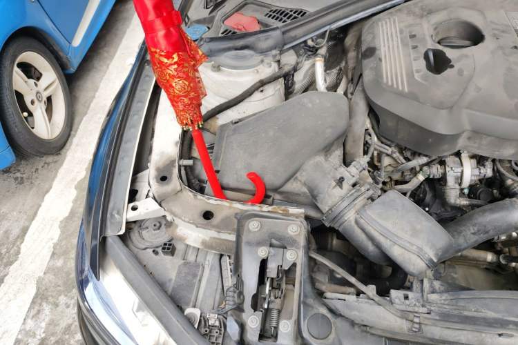 Used BMW 3 Series 2018 320Li Fashion Model Engine Bay Right