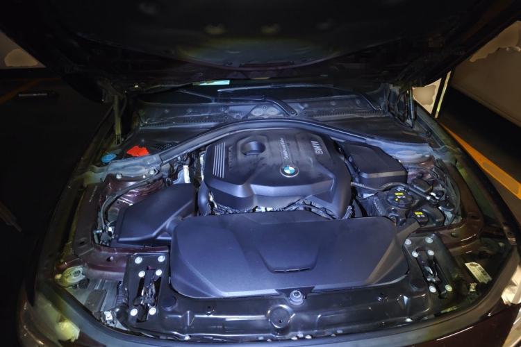 Used BMW 3 Series 2018 320Li Fashion Model Engine Bay