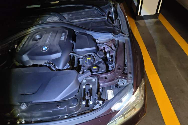 Used BMW 3 Series 2018 320Li Fashion Model Engine Bay Left