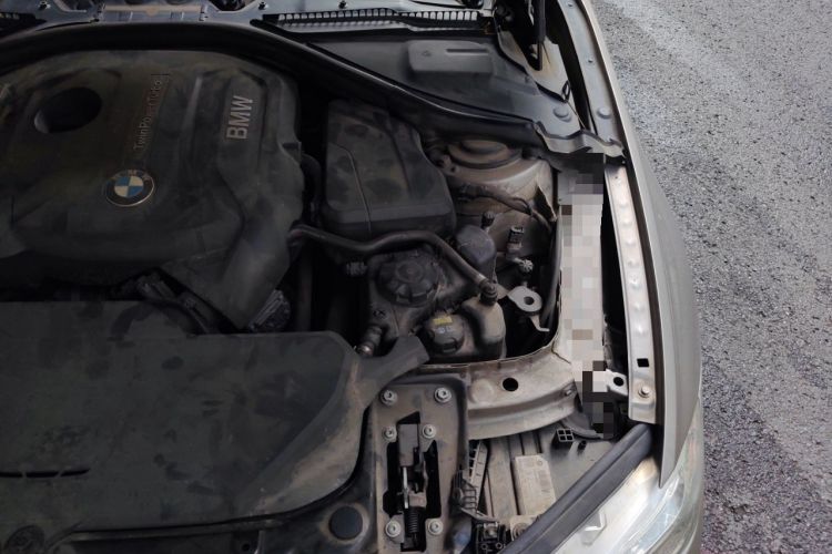 Used BMW 3 Series 2018 320Li Fashion Model Engine Bay Left