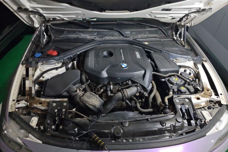 Used BMW 3 Series 2018 320Li Fashion Model Engine Bay