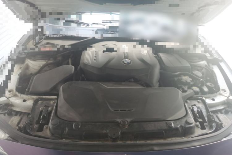 Used BMW 3 Series 2018 320Li xDrive Fashion Model Engine Bay