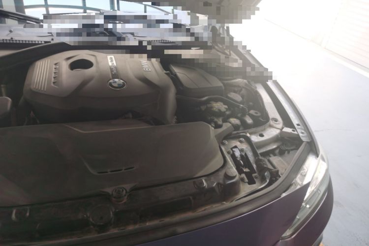 Used BMW 3 Series 2018 320Li xDrive Fashion Model Engine Bay Left