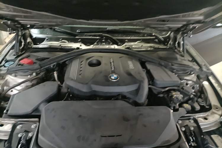 Used BMW 3 Series 2018 320Li Fashion Model Engine Bay