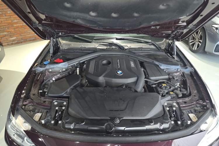 Used BMW 3 Series 2018 320Li Fashion Model Engine Bay