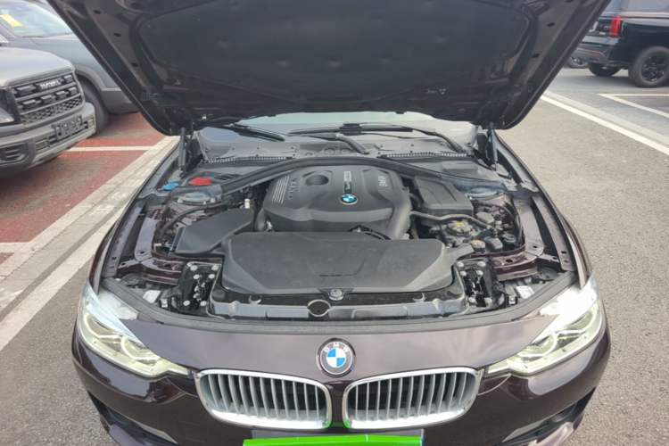 Used BMW 3 Series 2018 320Li Fashion Model Engine Bay