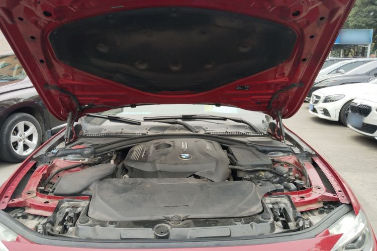 Used BMW 3 Series 2018 320Li Fashion Model Engine Bay