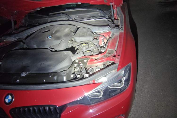 Used BMW 3 Series 2018 320Li M Sport Night Edition Engine Bay Left