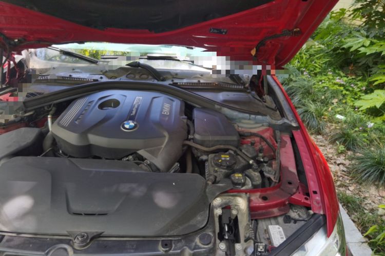 Used BMW 3 Series 2018 320Li M Sport Night Edition Engine Bay Left