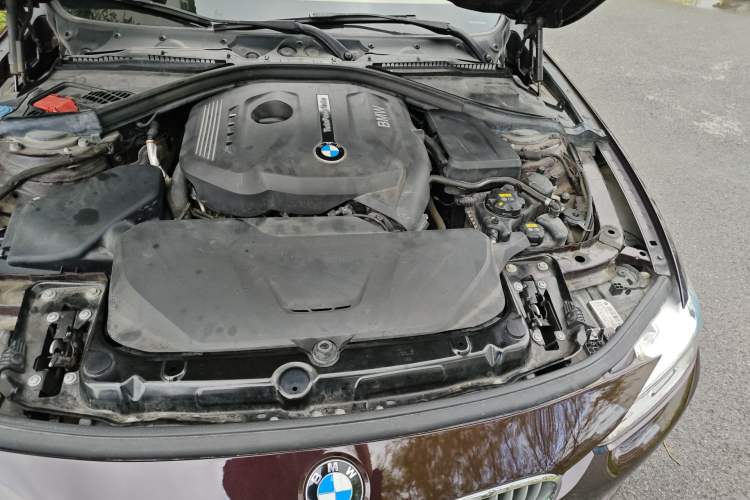 Used BMW 3 Series 2018 320Li Fashion Model Engine Bay Left