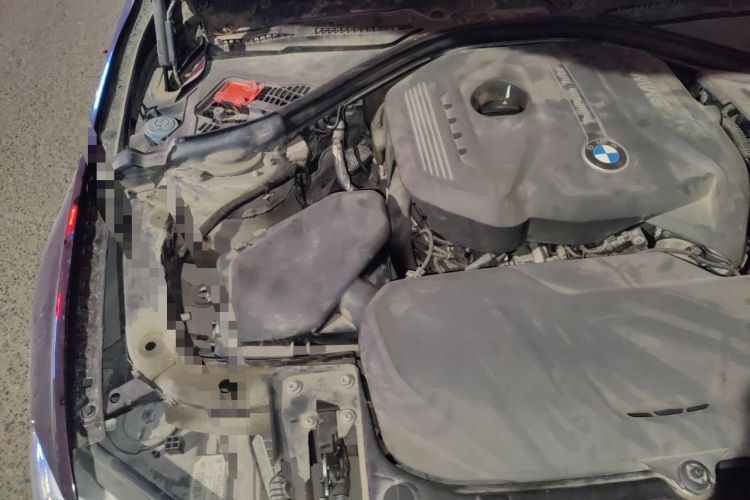 Used BMW 3 Series 2018 320Li Fashion Model Engine Bay Right