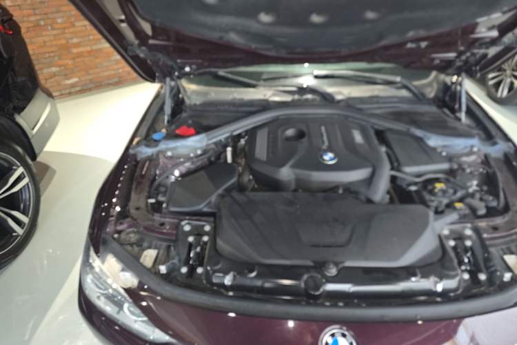 Used BMW 3 Series 2018 320Li Fashion Model Engine Bay Right