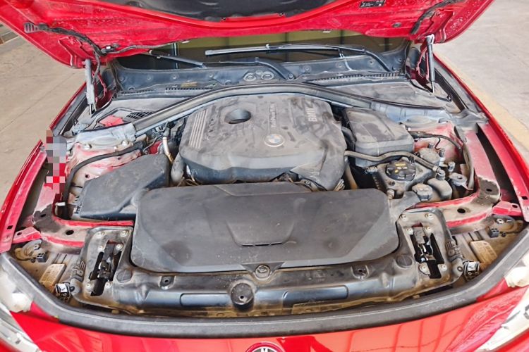 Used BMW 3 Series 2018 320Li Fashion Model Engine Bay
