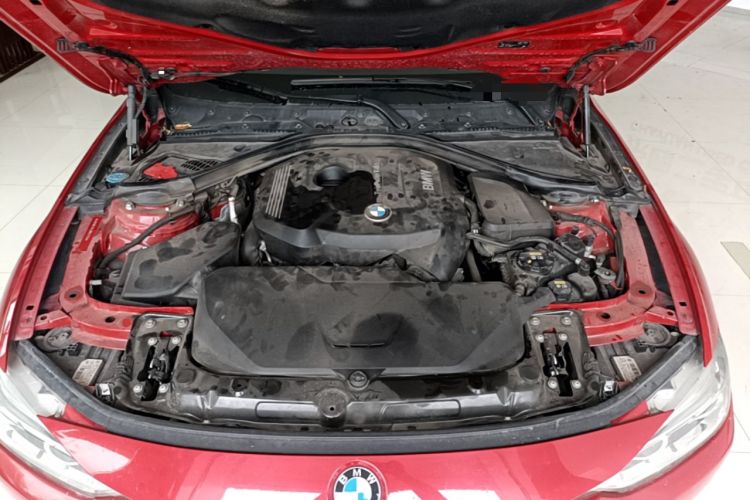 Used BMW 3 Series 2018 320Li Fashion Model Engine Bay