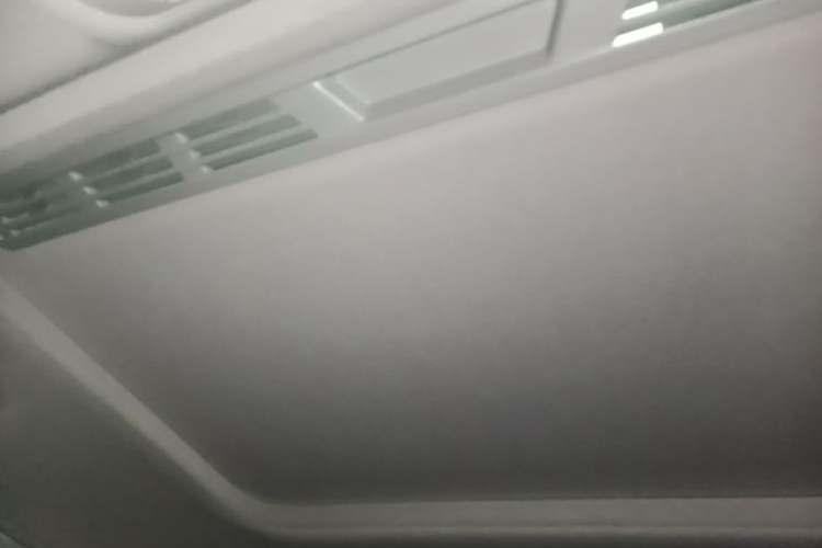 Used BMW 3 Series 2018 320Li Fashion Model Headliner