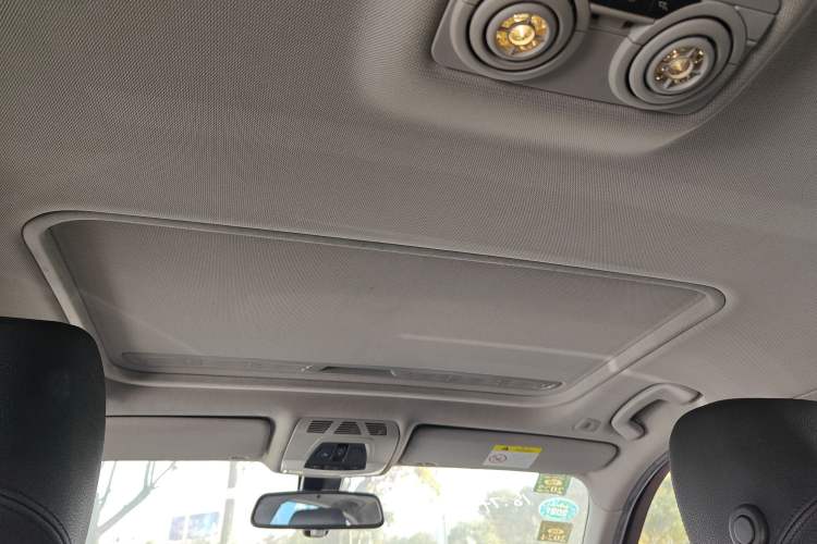 Used BMW 3 Series 2018 318Li Headliner